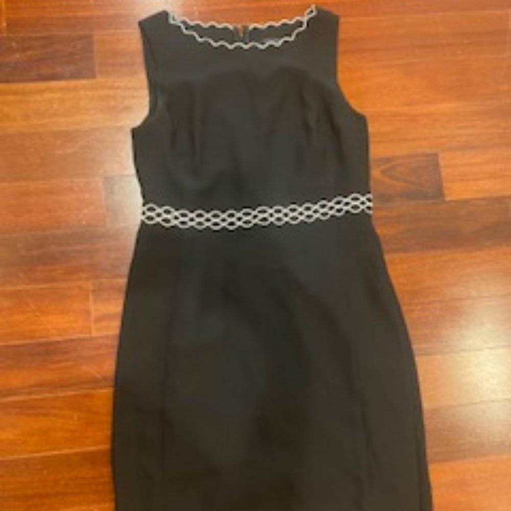 Ann Taylor Work Dress Size 8